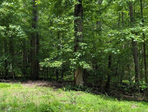 00 Wildwood Trail Ellijay GA 30540