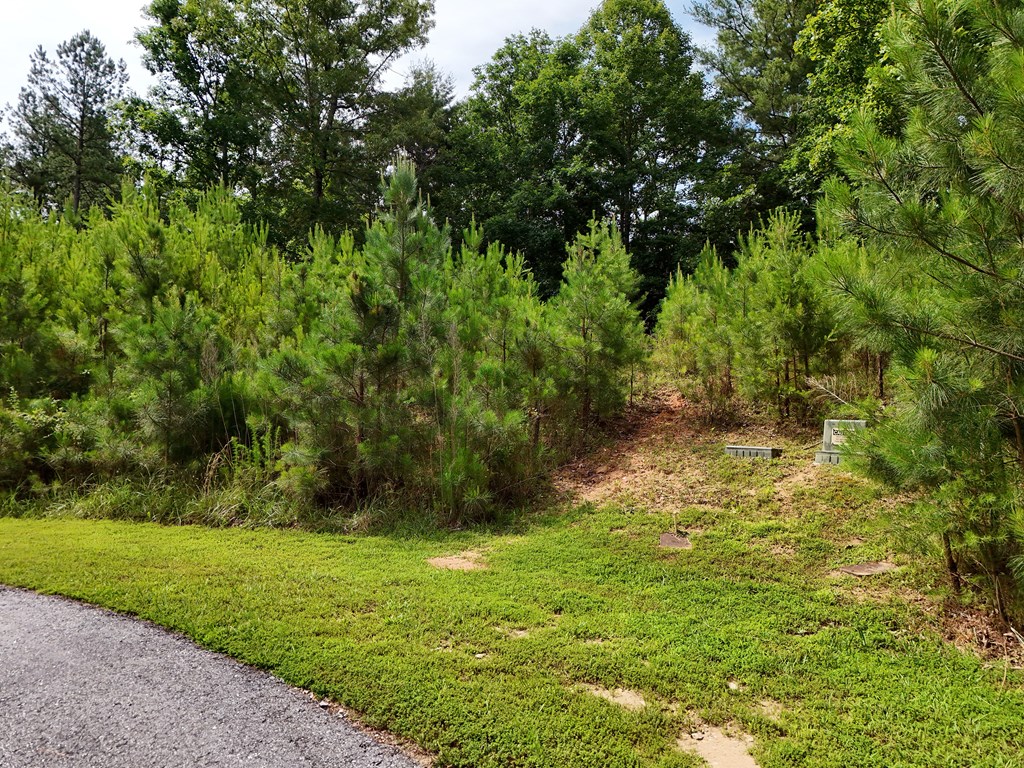 201 Cottage Lane Blairsville GA 30512