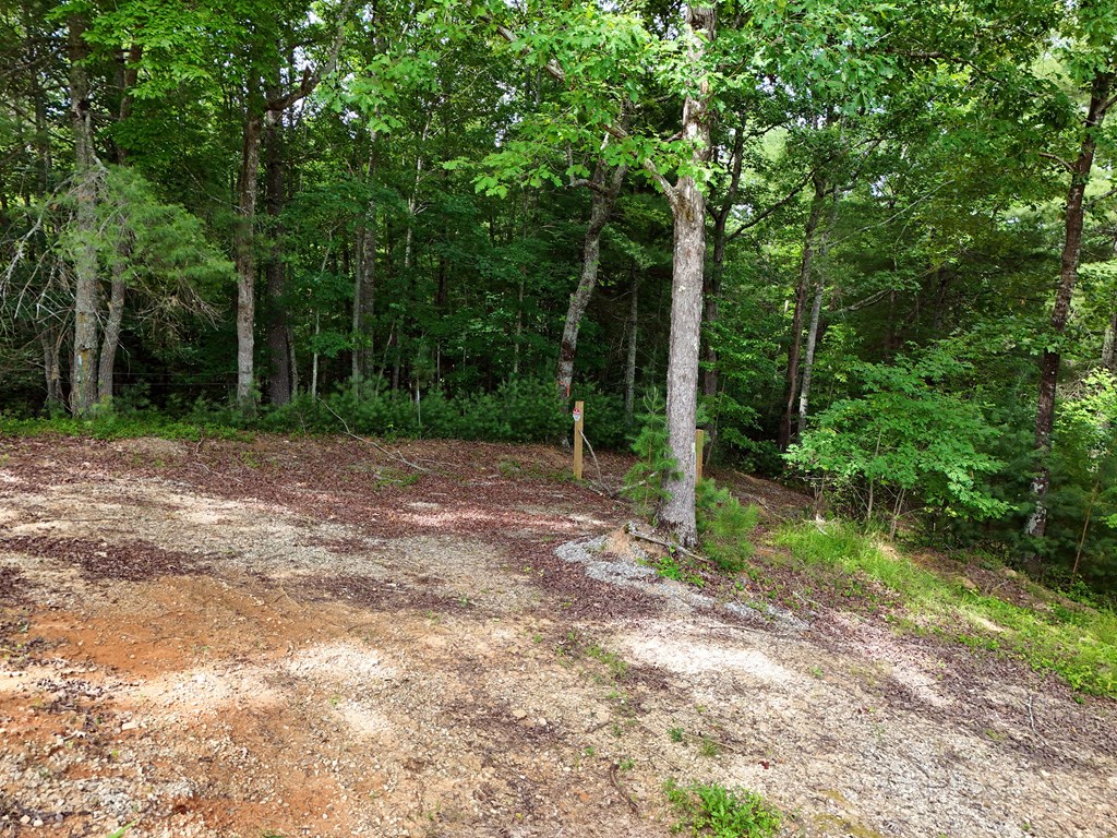 201 Cottage Lane Blairsville GA 30512
