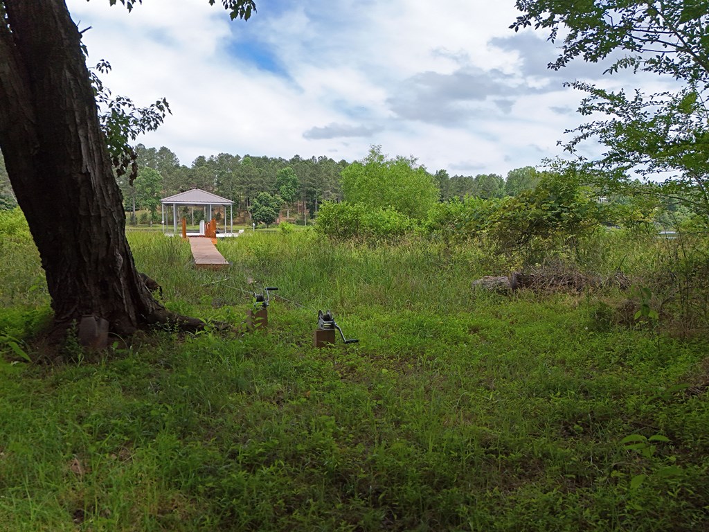 201 Cottage Lane Blairsville GA 30512