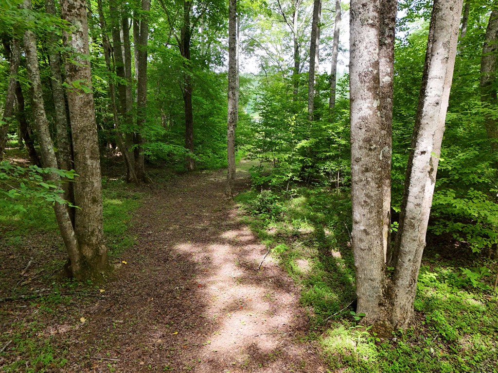 201 Cottage Lane Blairsville GA 30512