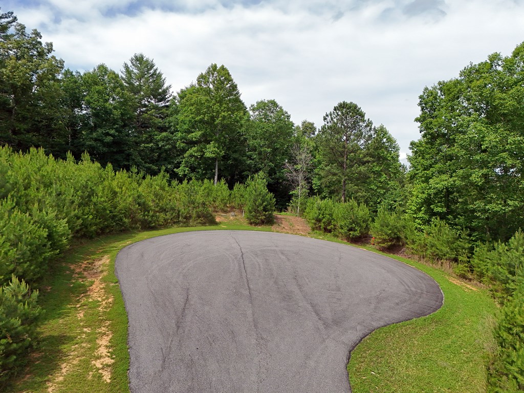 201 Cottage Lane Blairsville GA 30512