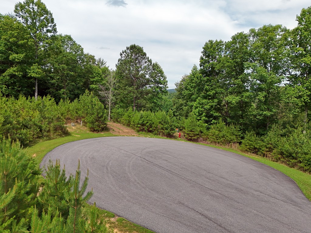 201 Cottage Lane Blairsville GA 30512