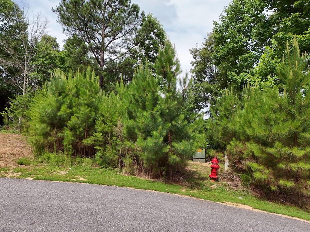 201 Cottage Lane Blairsville GA 30512