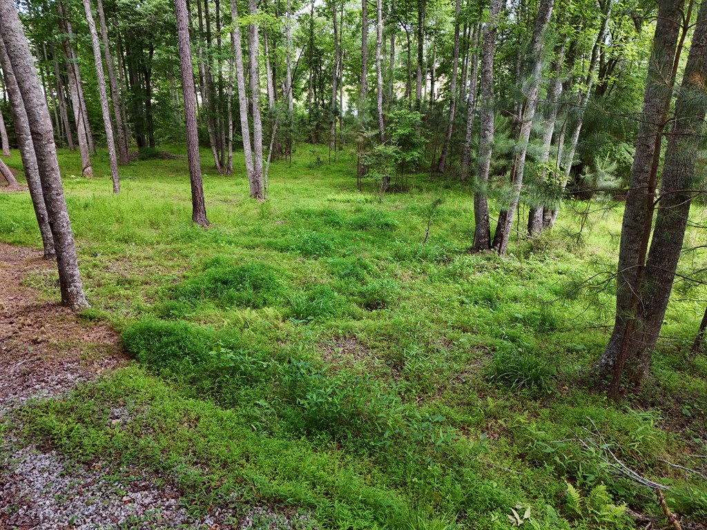 201 Cottage Lane Blairsville GA 30512