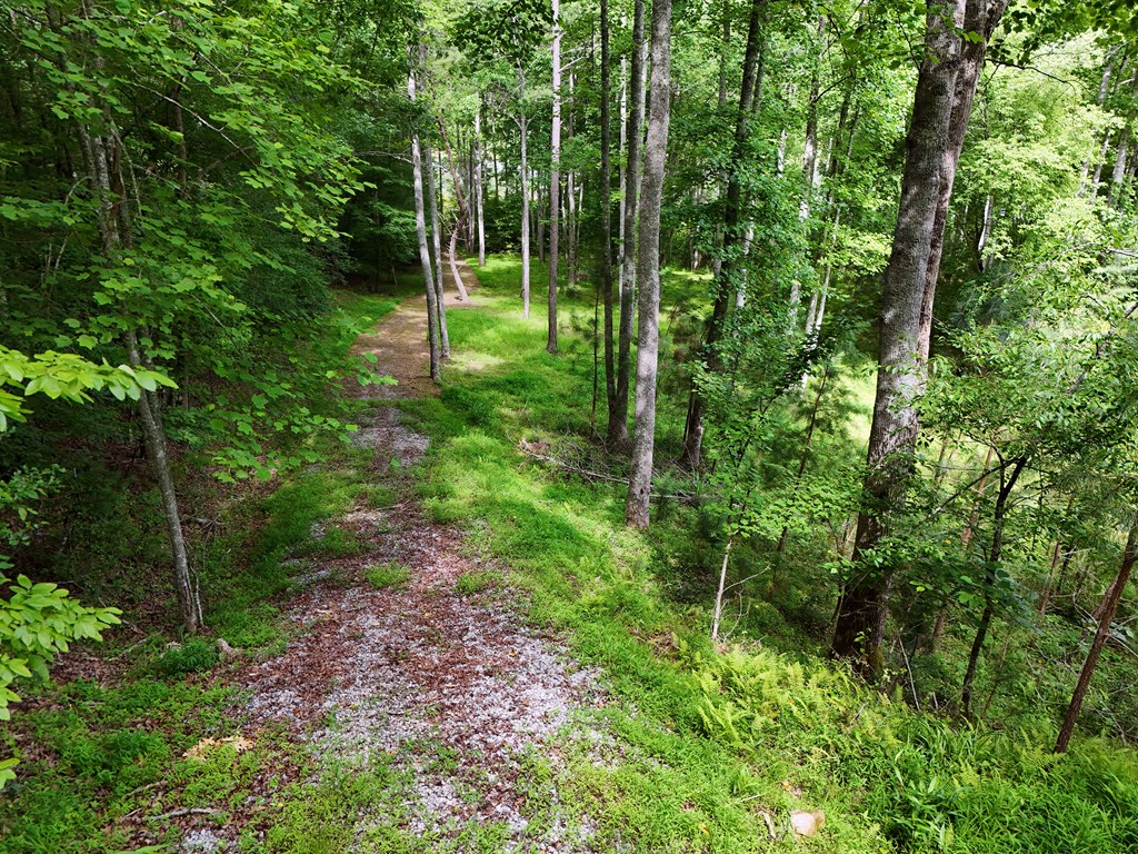 201 Cottage Lane Blairsville GA 30512