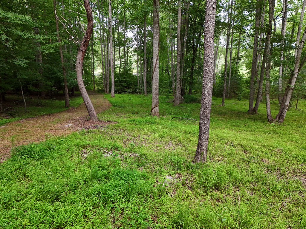 201 Cottage Lane Blairsville GA 30512