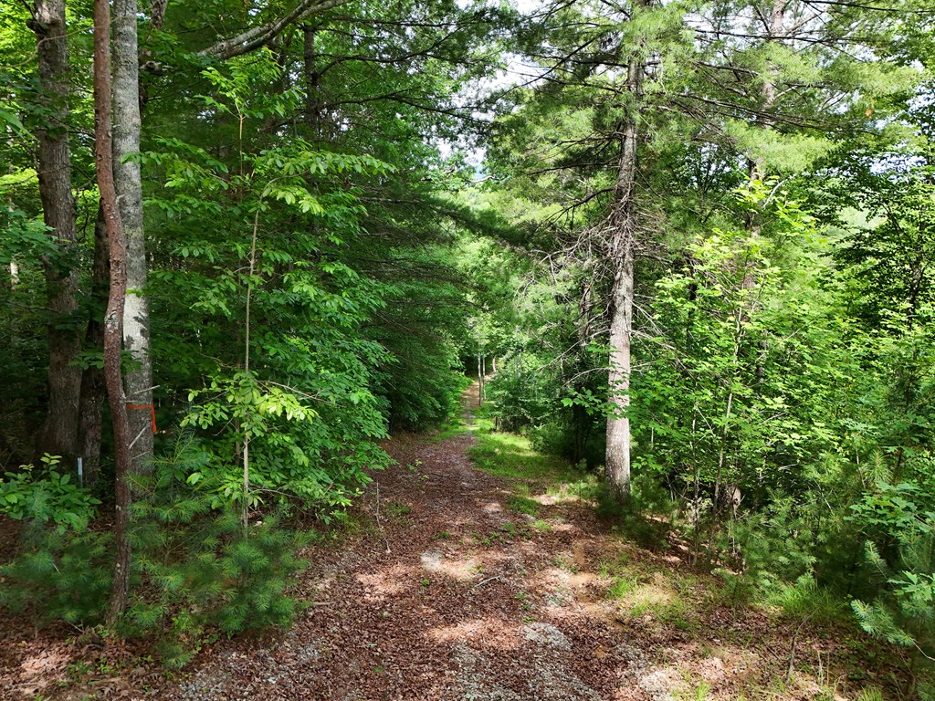 201 Cottage Lane Blairsville GA 30512