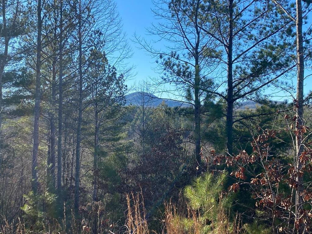 201 Cottage Lane Blairsville GA 30512