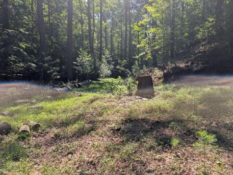 200 Cross Creek Trail Jasper GA 30143