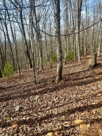 Lot 22 Blue Horizon Drive Blue Ridge GA 30513