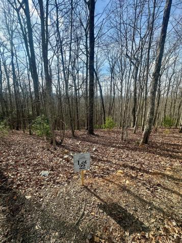 Lot 22 Blue Horizon Drive Blue Ridge GA 30513
