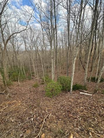 Lot 22 Blue Horizon Drive Blue Ridge GA 30513