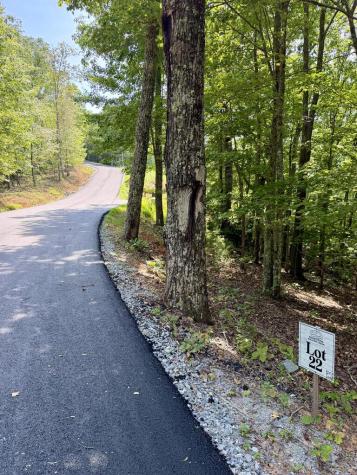 Lot 22 Blue Horizon Drive Blue Ridge GA 30513