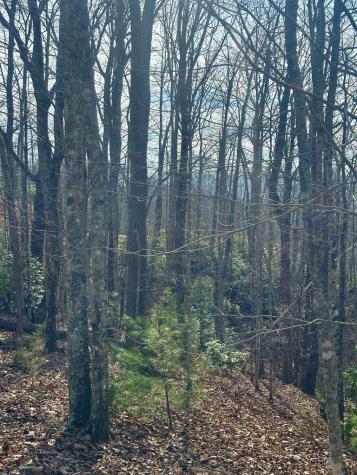 Lot 22 Blue Horizon Drive Blue Ridge GA 30513