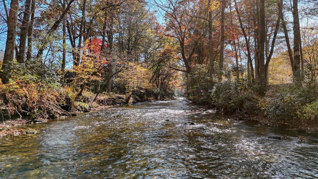 Lot 3 Big Pine Drive Hiawassee GA 30546