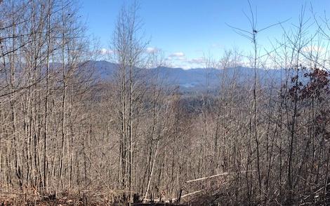 Lt 10 Longview Ridge Hayesville NC 28904