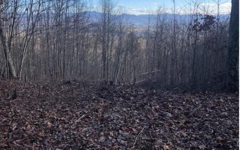 Lt 10 Longview Ridge Hayesville NC 28904