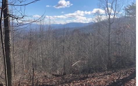 Lt 10 Longview Ridge Hayesville NC 28904