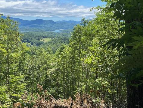 Lt 10 Longview Ridge Hayesville NC 28904