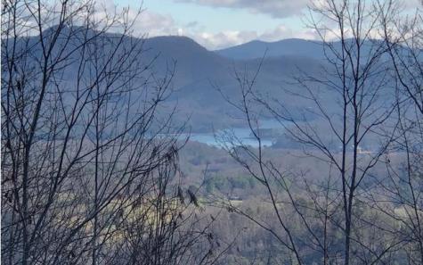 Lt 10 Longview Ridge Hayesville NC 28904