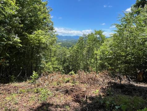 Lt 10 Longview Ridge Hayesville NC 28904