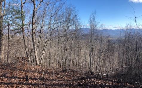 Lt 10 Longview Ridge Hayesville NC 28904