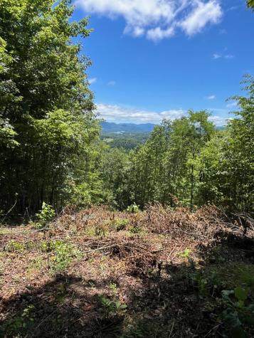 Lt 10 Longview Ridge Hayesville NC 28904