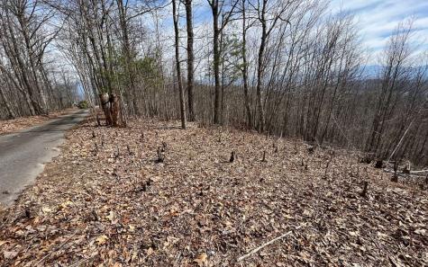 Lt 10 Longview Ridge Hayesville NC 28904