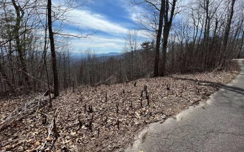 Lt 10 Longview Ridge Hayesville NC 28904