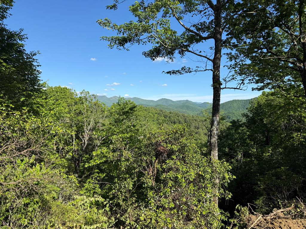 294 Shearer Ridge Murphy NC 28906