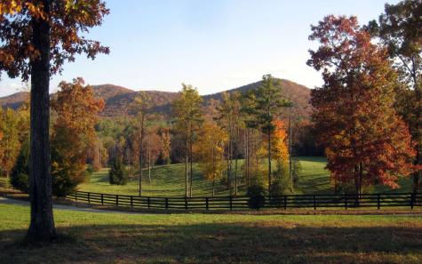 1 Trail Old Anderson Creek Ellijay GA 30536