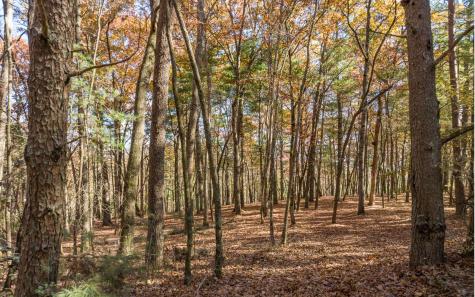 1 Trail Old Anderson Creek Ellijay GA 30536