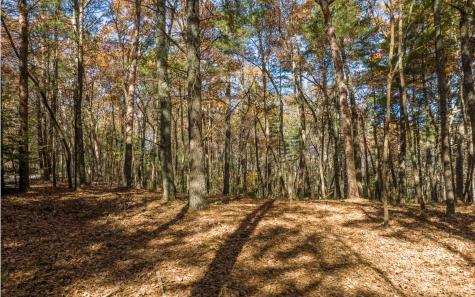 1 Trail Old Anderson Creek Ellijay GA 30536