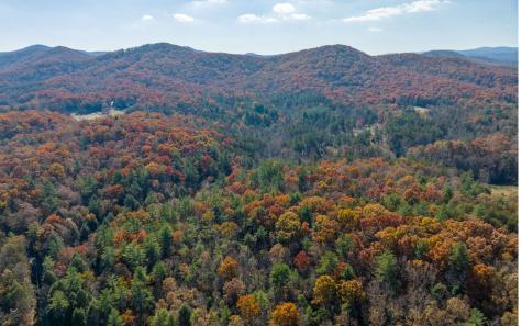 1 Trail Old Anderson Creek Ellijay GA 30536