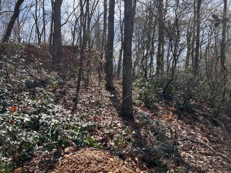 00 Old Highway 64e Hayesville NC 28904