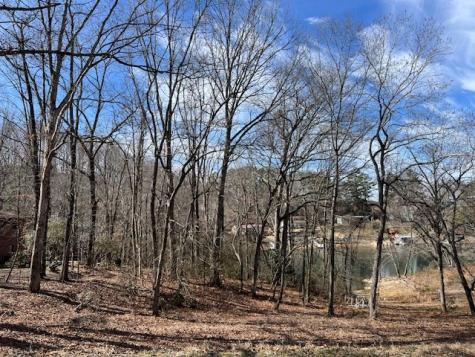 00 Old Highway 64e Hayesville NC 28904