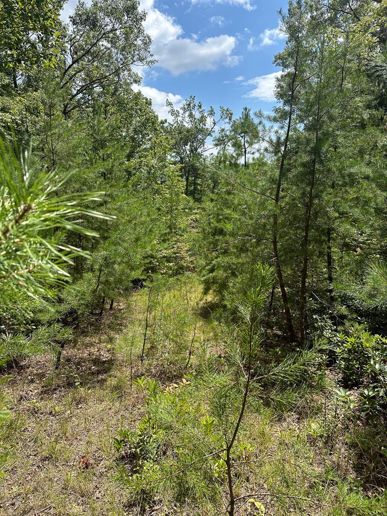 51-51b Scottie Mountain Circle Murphy NC 28906