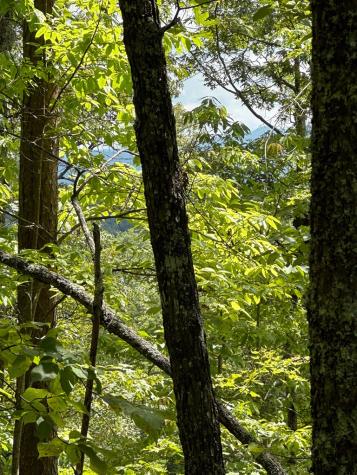 51-51b Scottie Mountain Circle Murphy NC 28906