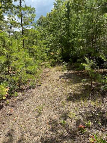 51-51b Scottie Mountain Circle Murphy NC 28906