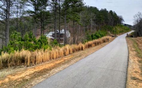 Lot 251 Ridge Pointe Way Blairsville GA 30512
