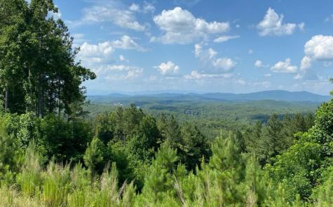 Lot 251 Ridge Pointe Way Blairsville GA 30512