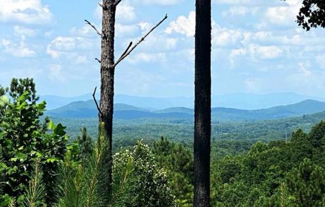Lot 251 Ridge Pointe Way Blairsville GA 30512