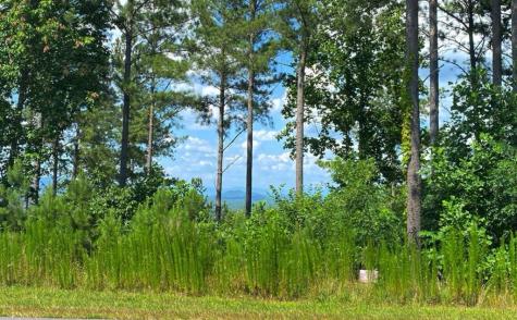 Lot 251 Ridge Pointe Way Blairsville GA 30512