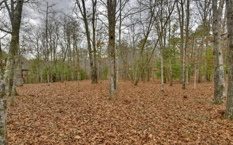 Lt 57 Riverwalk On Toccoa Mineral Bluff GA 30559