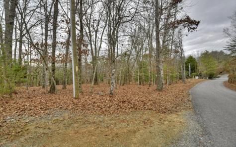 LT 57 Riverwalk On Toccoa Mineral Bluff GA 30559