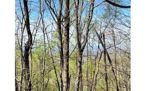 119 Croft Mountain Road Blairsville GA 30512