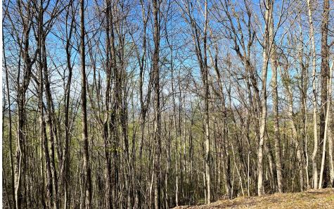 119 Croft Mountain Road Blairsville GA 30512