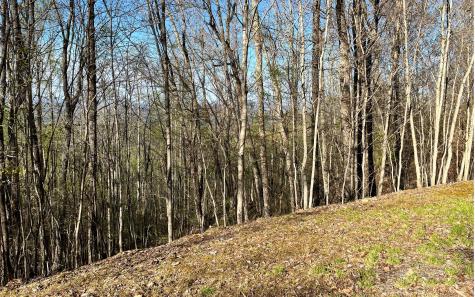 119 Croft Mountain Road Blairsville GA 30512