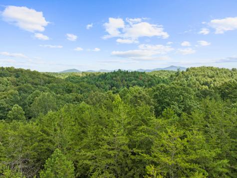 Lot 23 Timber Lane Court Turtletown TN 37391
